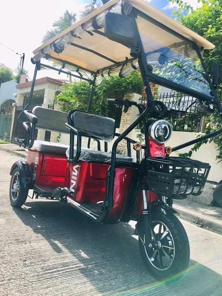 HIPPO 2.0 Tri-wheel E-Bike photo 3