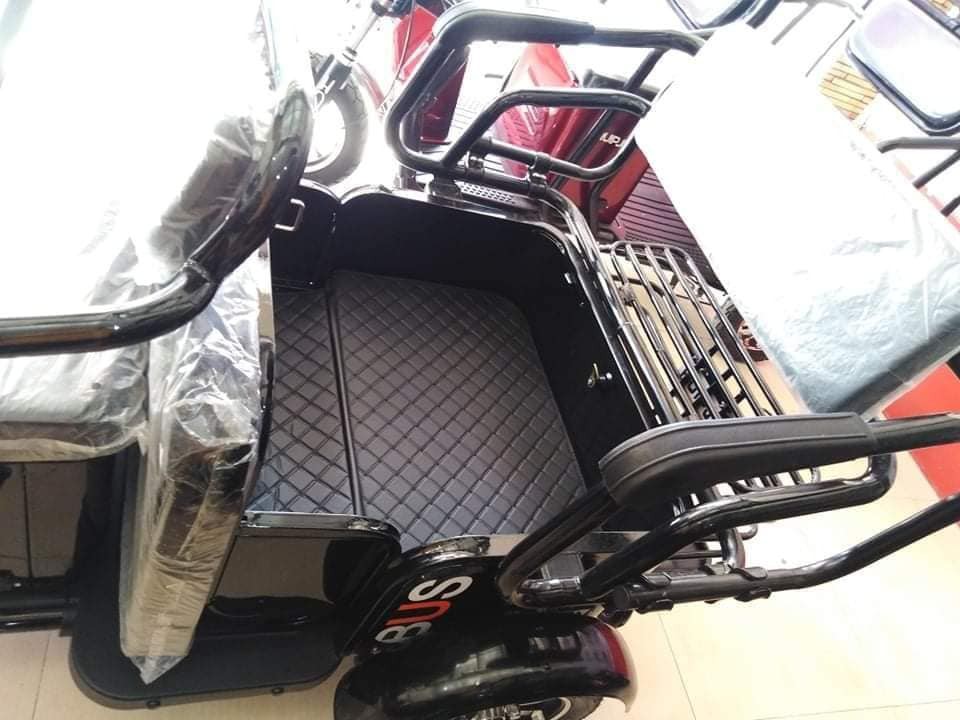 HIPPO 2.0 Tri-wheel E-Bike photo 4